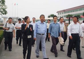 2009年10月8日，全國人大常委會(huì )原副委員長(cháng)許嘉璐視察今世緣。